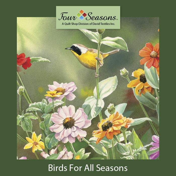 New! Birds for All Seasons - coming soon: 11/20/21