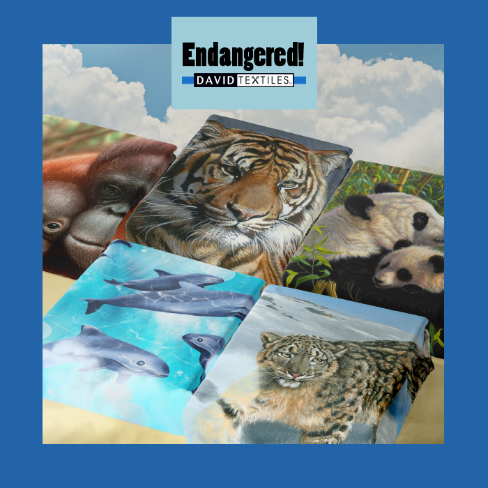 New!  Endangered - 9/15/22