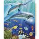 HAPPY DOLPHINS PANEL