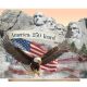 MOUNT RUSHMORE 250 PANEL