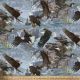 EAGLES ON THE ROCKS