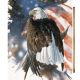 FLAG & THE EAGLE PANEL